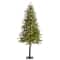 7ft. Pre-Lit Wyoming Alpine Artificial Christmas Tree, Clear LED Lights